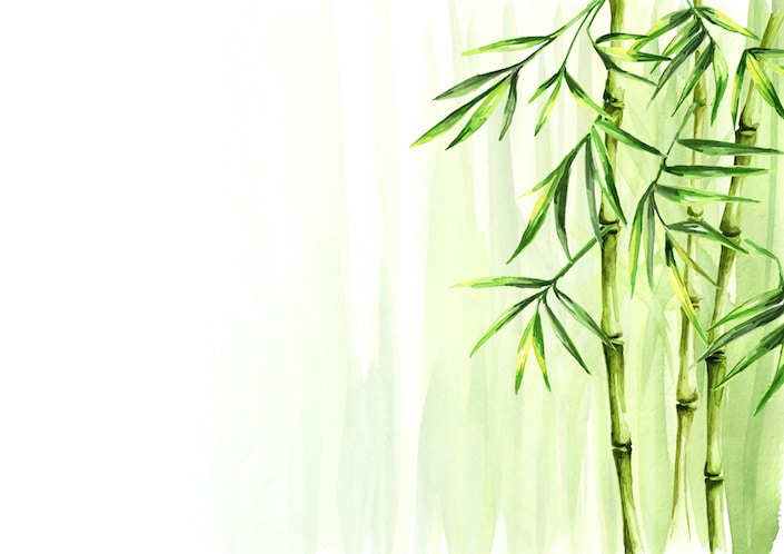 Carved their names into chinese history, such as wei qing (卫青), . Chinese Bamboo Culture And History Of Chinese Bamboo Cli