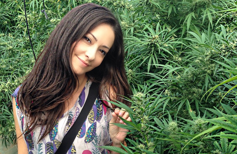 Macujo Method Could Help You Beat a Hair Drug Test