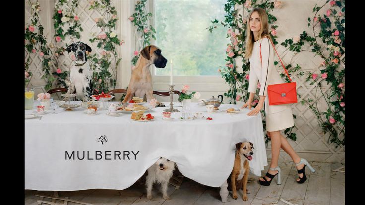 mulberry_spring 2014