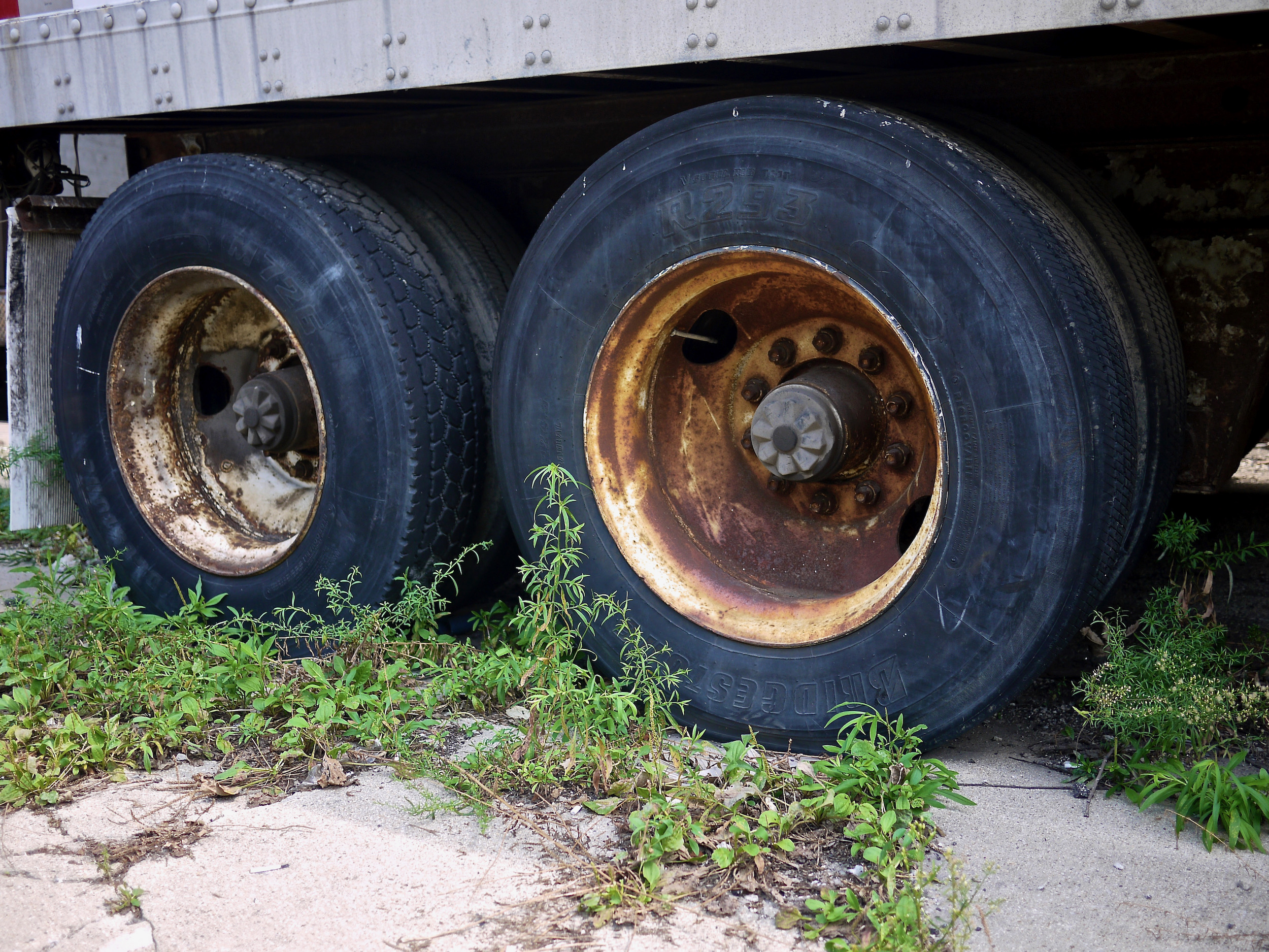 Some large tires on a truck with rusted wheel wells.