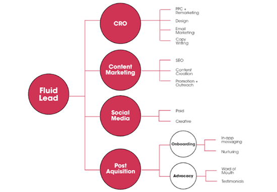 The functional structure organizes the team by marketing discipline and expertise, much like a digital agency team structure (but without the account executives . An Inside Look At Web Profits Growth Team Structure