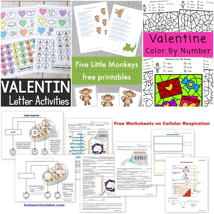 Color and label the outer membrane light green. 01 29 Printables Monkeys Song And Number Cards Valentine Coloring Valentine S Letter Cellular Respiration