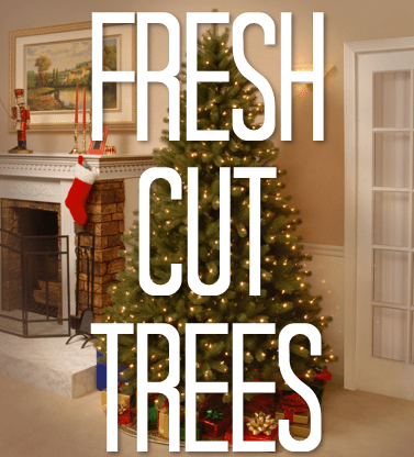 39+ Best Bulk Barn Pembroke : Sunset Nursery, Pembroke, Ontario, Greenhouse, Gardening : Des rabais de super c avant vendredi fou 2021 flyer en ligne.