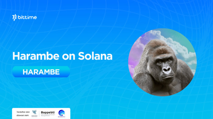 What is Harambe on Solana (HARAMBE)? Solana Based Cryptocurrency – Bittime