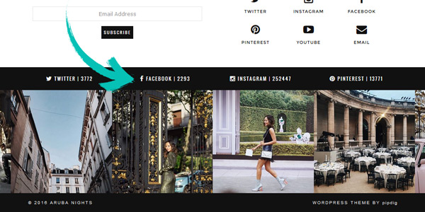 Bagi pemula anda tidak usah kawatir karena wordpress menyediakan banyak tema gratis yang kualitasnya tidak kalah bagus dengan yang berbayar. Wordpress Social Counters Pipdig Support