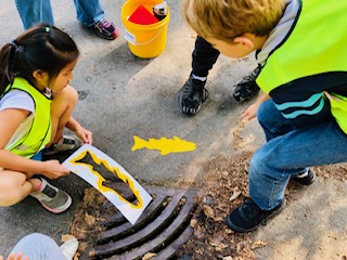 Protecting our storm drains