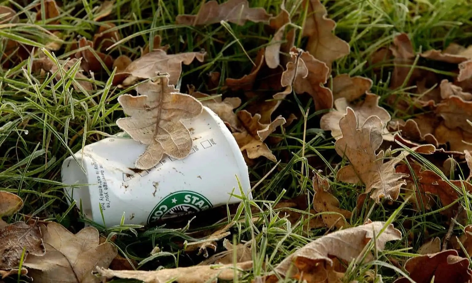 England’s Litter Problem Could Business Do More? SustMeme