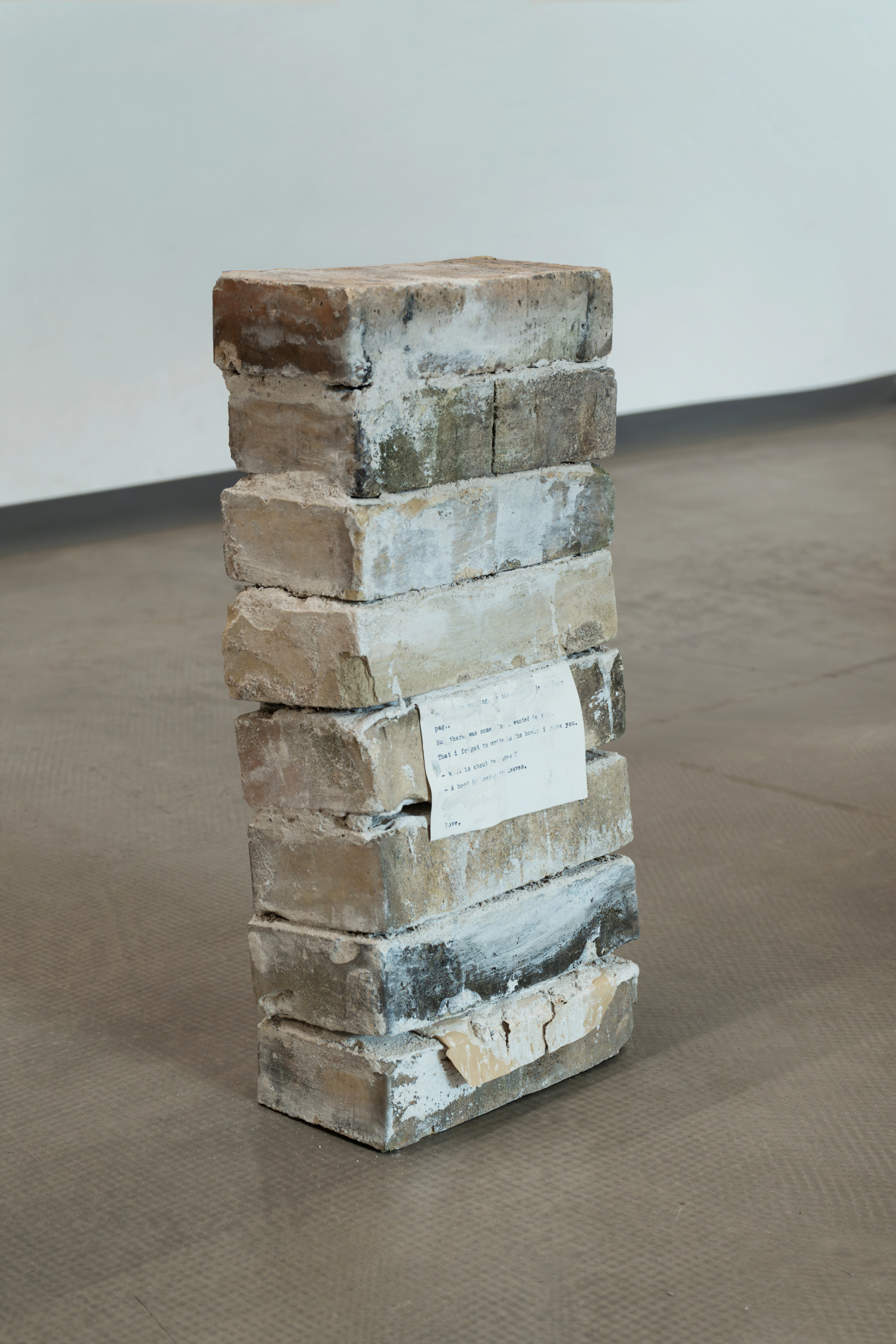 Victor Chakravarty: Suspended Forms and Spaces