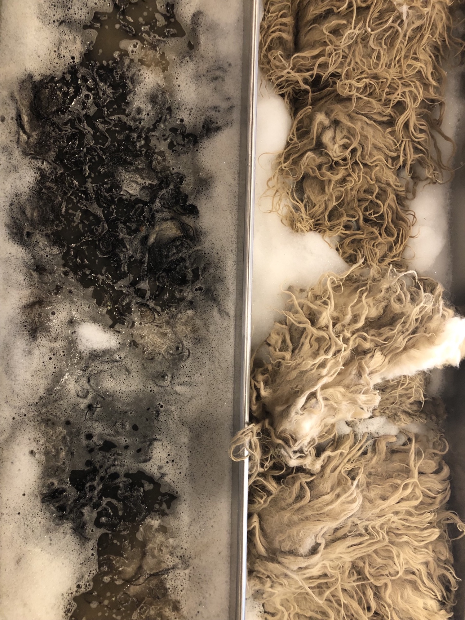 Yoko Matsumoto: At bryde