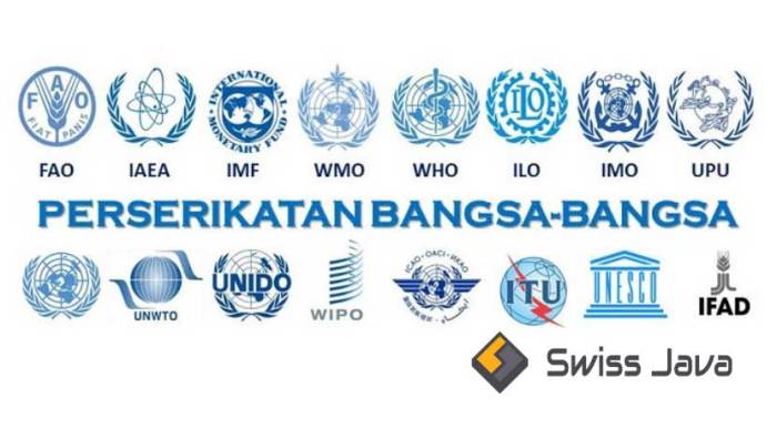Organisasi internasional who