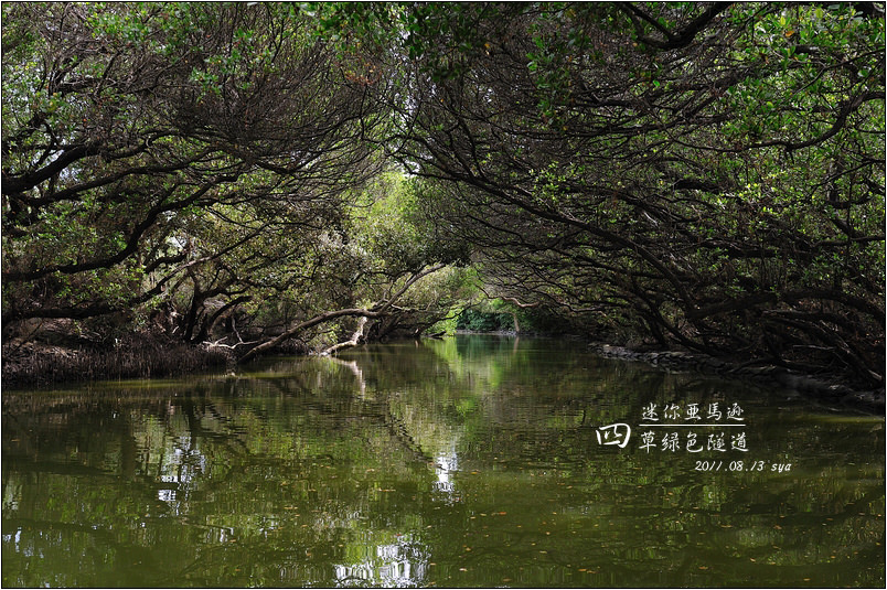 【台南 景點】四草綠色隧道 | 台灣的迷你亞馬遜 (如何購票、搭船時間)