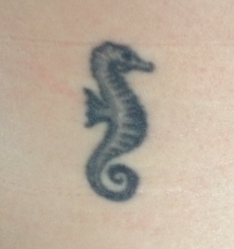 Sea Horse Tattoo – Sydney Aaliyah Michelle 491_x_461_jpg
