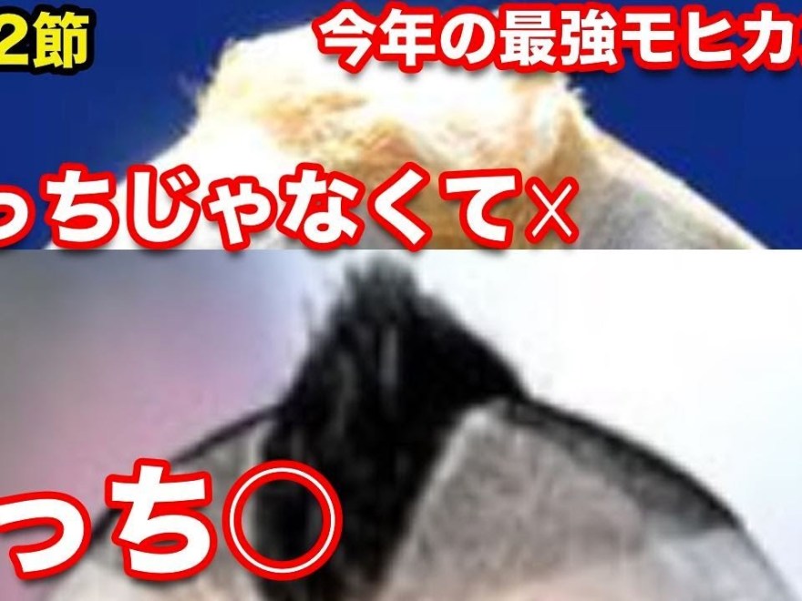 ウイイレ19 去年までは金モヒカンが強かったのに今年は黒モヒカンのが強いぞmyclub日本一目指すゲーム実況 Pes ウイニングイレブン サカツベ ウイイレ19 去年までは金モヒカンが強かったのに今年は黒モヒカンのが強いぞmyclub日本一目指すゲーム実況 Pes ウイニングイレブン サカツベ