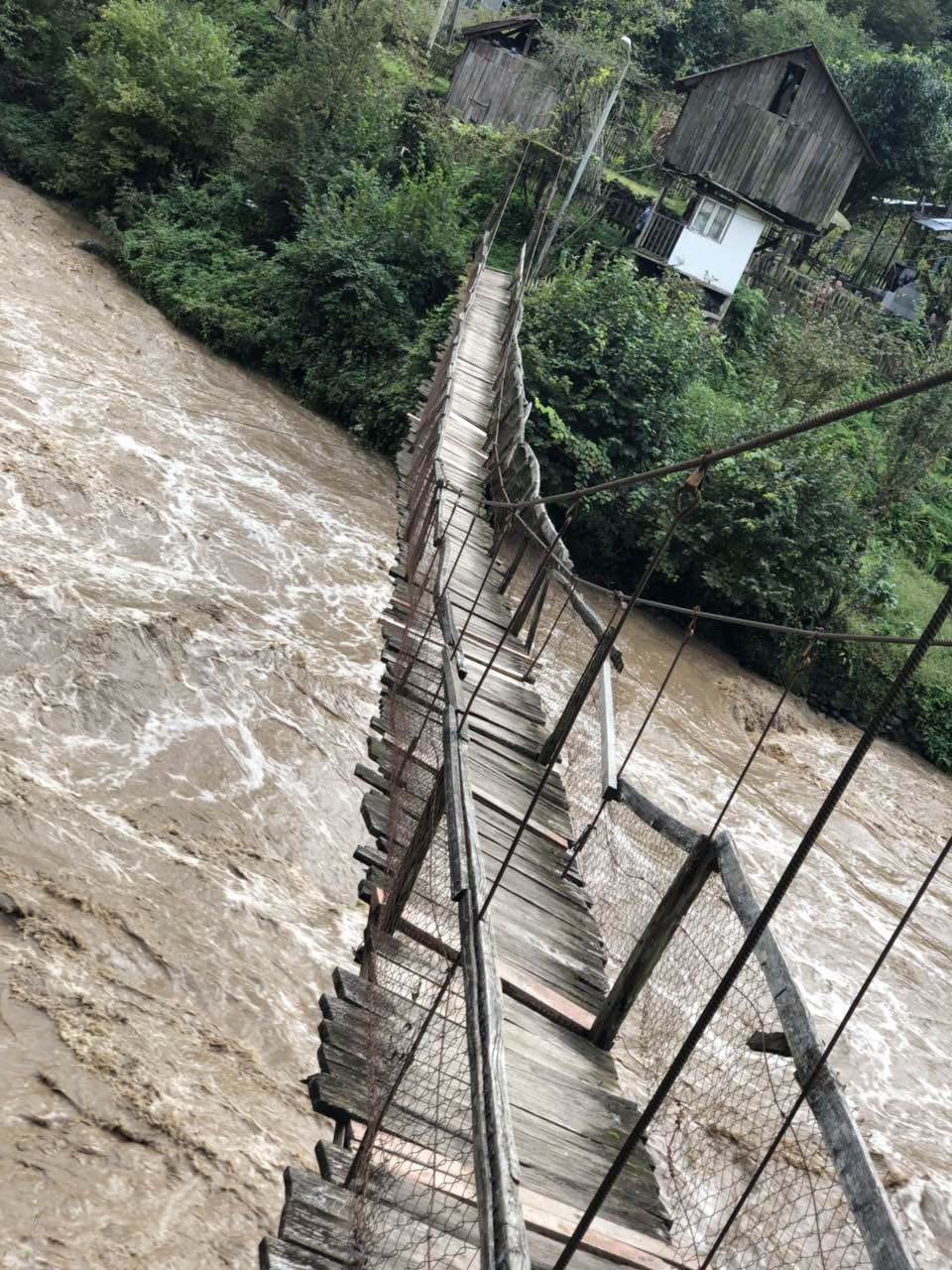 Аллея самшитовая роща в самшитовом роще мачахельское ущелье. Machahelskaya Sonata Www Taberne Group Ekskursii Po Gruzii