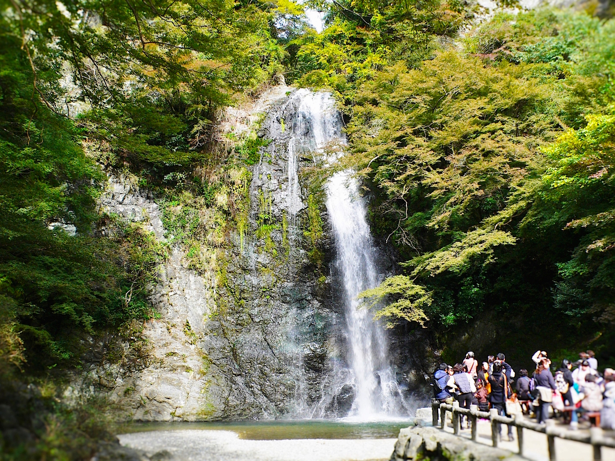 箕面 の 滝 デート