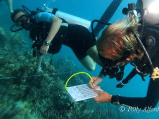 Belize marine conservation organization ReefCI, receives Global