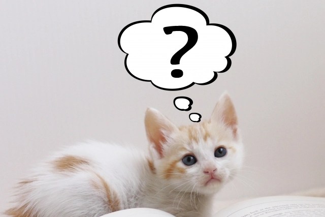 摂政と関白はどっちが偉いのか 何が違うのか なんで似たようなものが2つもあったのか ただ屋ぁのブログ