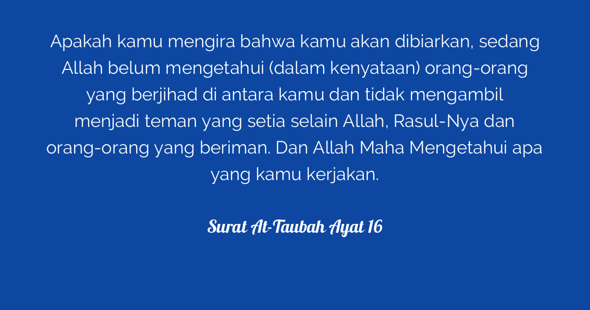 Quran beatiful very beatifu mashallah. Surat At-Taubah Ayat 16 | Tafsirq.com