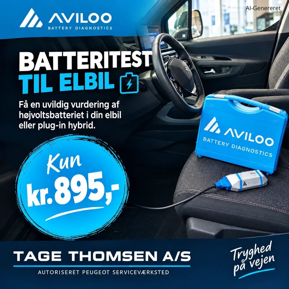 Batteritest til elbil – kun kr. 895,-