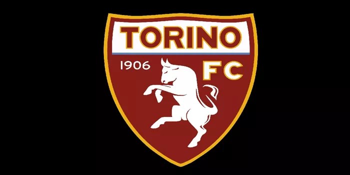 Torino vs Monza – Pekan ke-13 Serie A 24/11/24