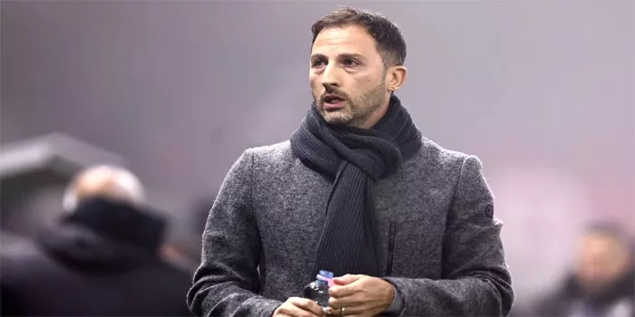 Belgia Pecat Pelatih Domenico Tedesco Setelah Hasil Mengecewakan