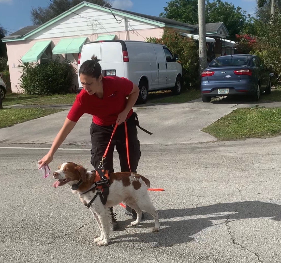 Jamie Katz, RealLife Pet Detective