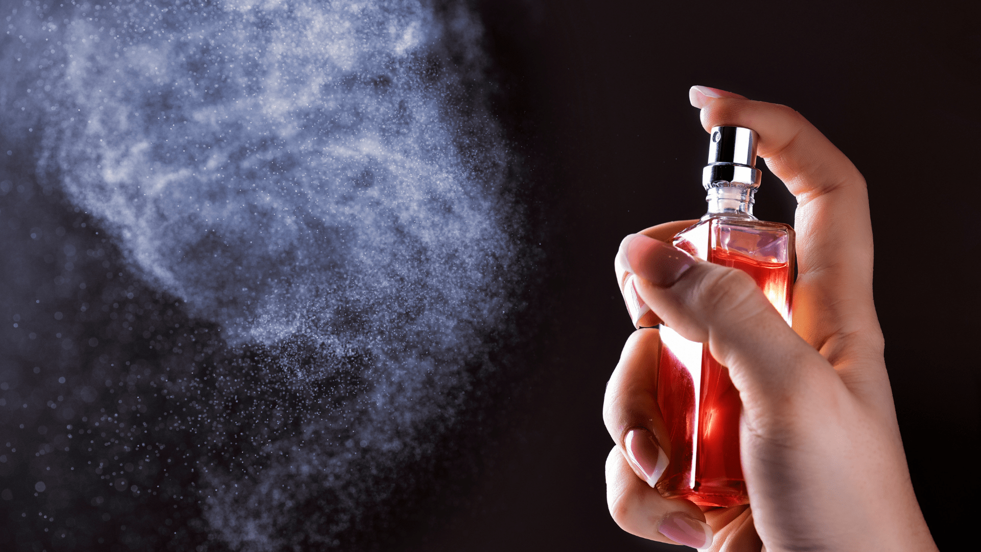 Sebab, banyak parfum palsu yang bertebaran di pasaran. Ciri Ciri Parfum Beralkohol Yang Harus Kamu Ketahui