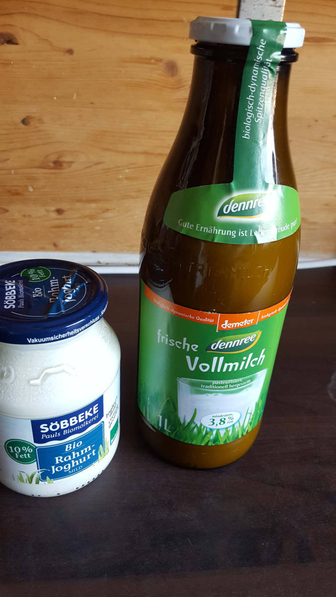 How to make your own Yogurt with 2 Ingredients Tao of Stefan