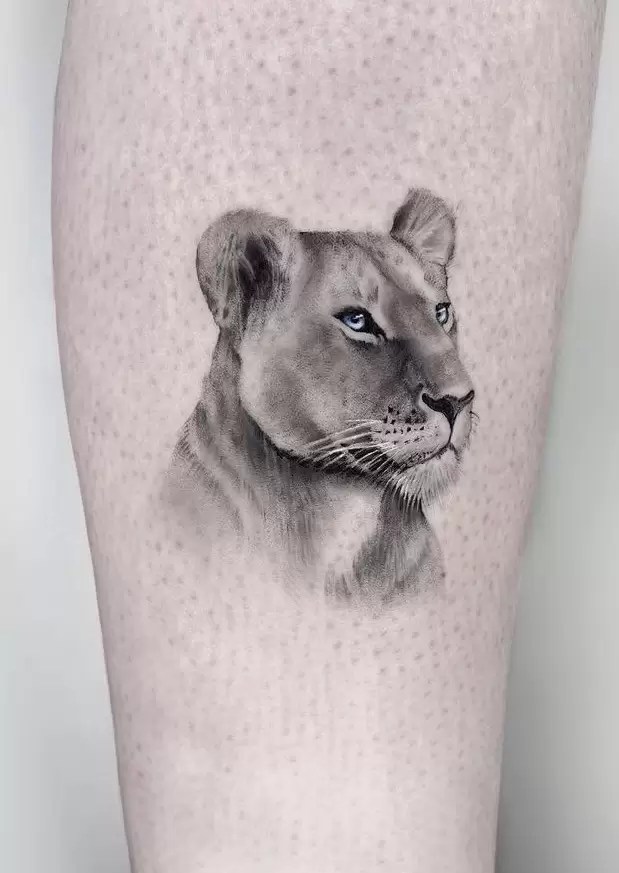 A Well-Researched Guide On The Meanings Behind Lion Tattoos 873_x_619_jpg