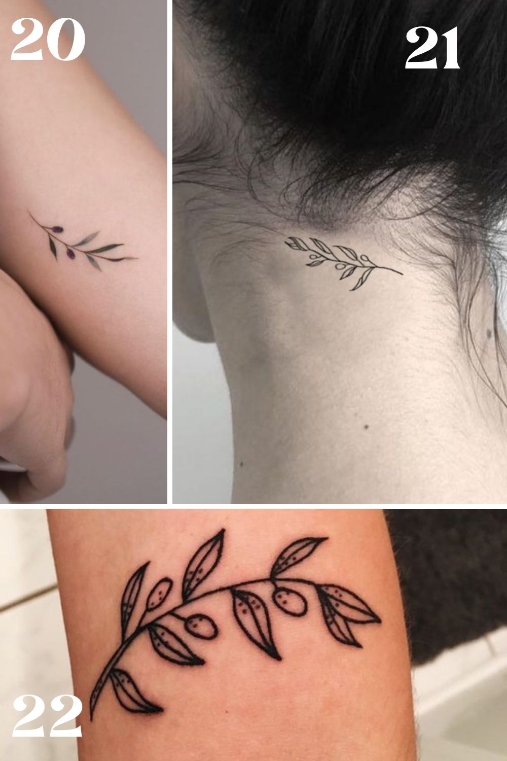 25 Meaningful Olive Branch Tattoo Ideas Designs Tattooglee