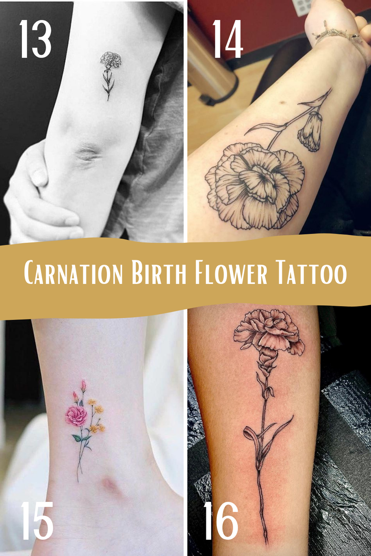 January Birth Flower Tattoo Designs {The Carnation} - Tattooglee 1800_x_1200_jpg