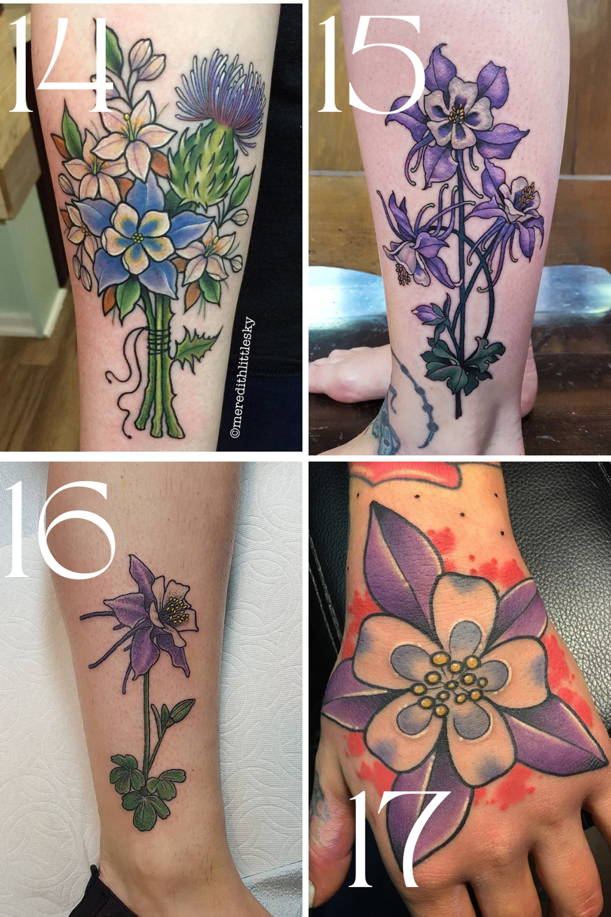 Colorado Columbine Flower Tattoo Ideas - Tattooglee 1800_x_1200_jpg