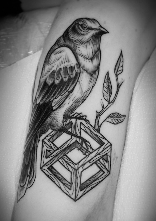 In fact, this is the only tattoo i've ever seen that i've liked (excepting my dad's faded anchor tattoo. Beautiful mockingbird tattoo - | TattooMagz âº Tattoo Designs / Ink Works / Body Arts Gallery