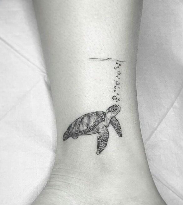 150+ Cute Sea Turtle Tattoos Designs With Meanings (2022) - Tattoosboygirl 660_x_588_jpg