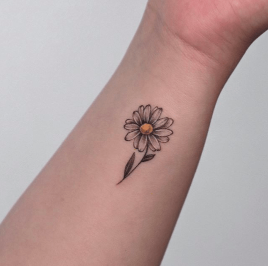 140+ Beautiful Daisy Tattoo Designs With Meanings (2022) - Tattoosboygirl 531_x_536_png