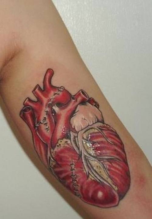34 Anatomical Heart Tattoos With Strong Meanings - Tattooswin 722_x_500_jpg