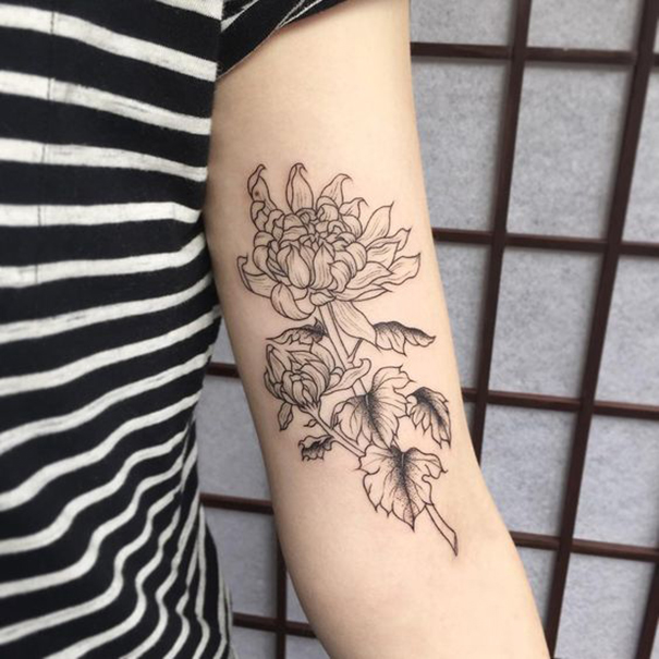 Tatuagens De Flores De Crisântemo » Tatuagens Hd 605_x_605_jpg