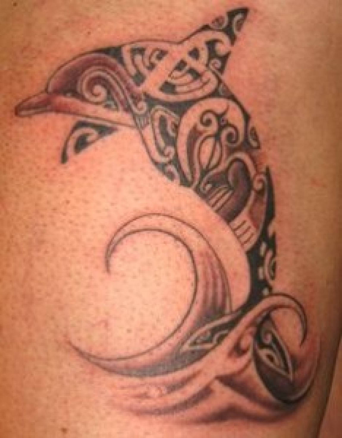 Maori dolphin tattoo. Tattoo Guide and Signature 1474_x_1150_jpg: