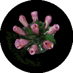 all about time lapse photography