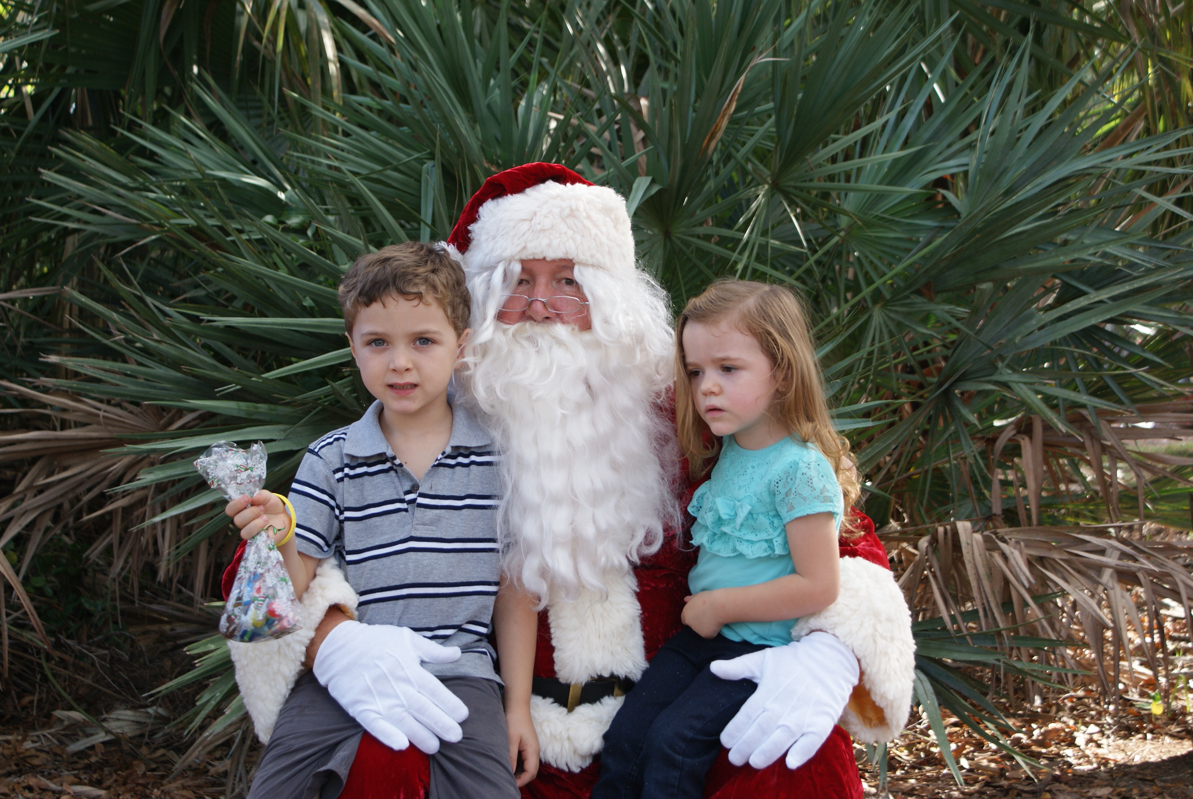 2016 Holiday Photos Teamsters Local 769