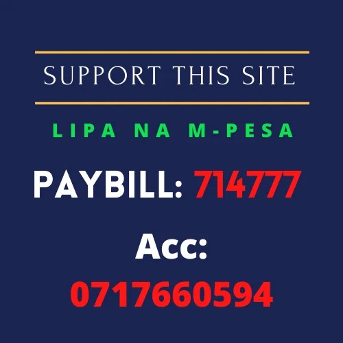 support techish kenya