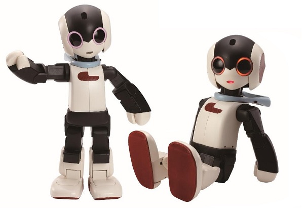 robi robot for sale