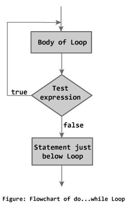 c-do-while-loop