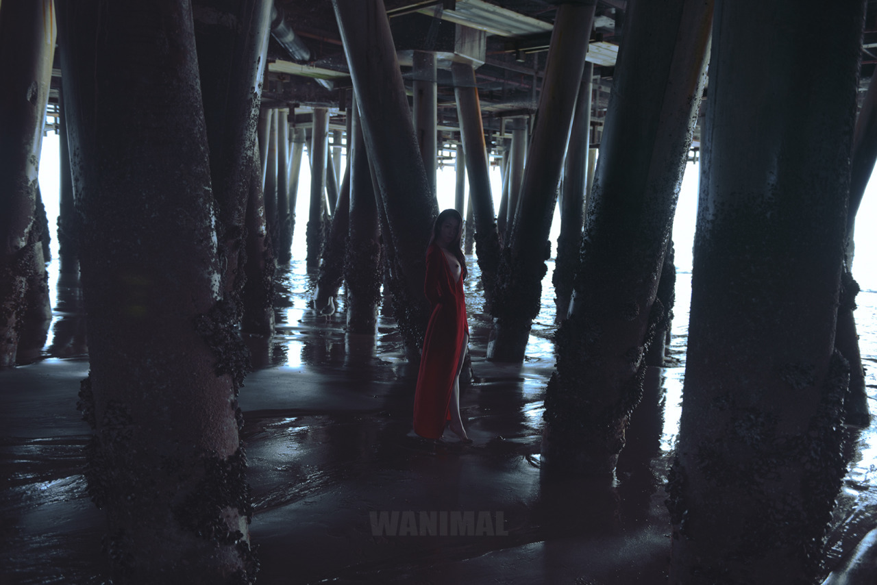 [WANIMAL王動系列] Tumblr博客寫真作品 Set.27(27)