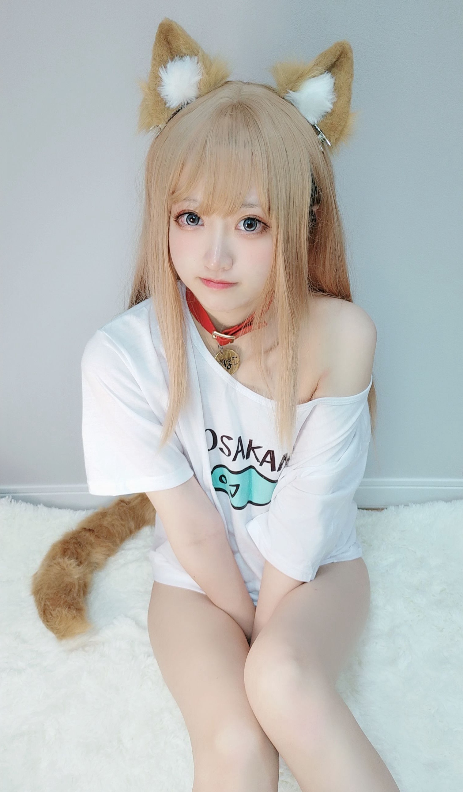 千阳(ちよ) - 40原设猫猫 [13P-15MB](6)