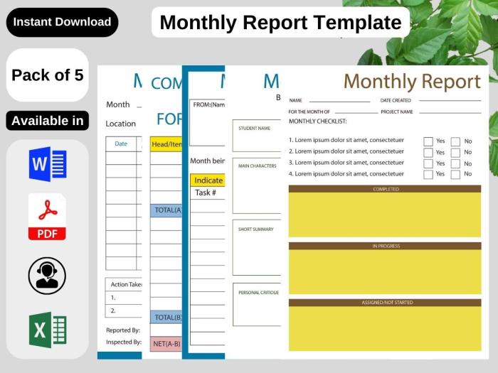 Report Monthly Template terbaru