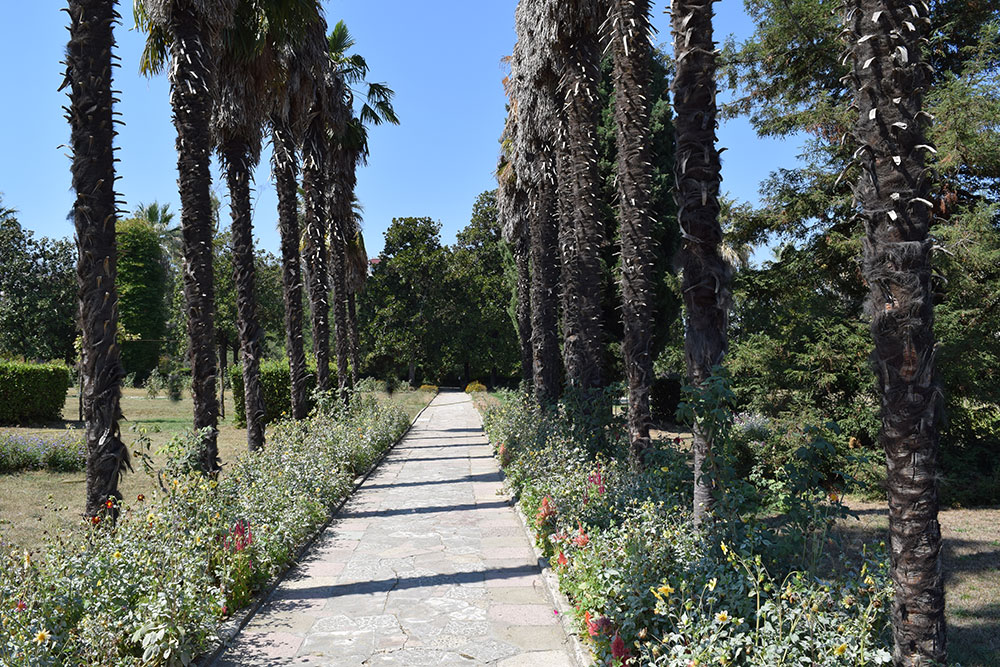 Посещение ботанического сада по экскурсионному оранжерейному маршруту: Poseshenie Botanicheskogo Sada V Tirane Albaniya Samostoyatelno I Pro Rajskie Samye Krasivye V Mire Sukkulenty Turizmuz 21 Veka