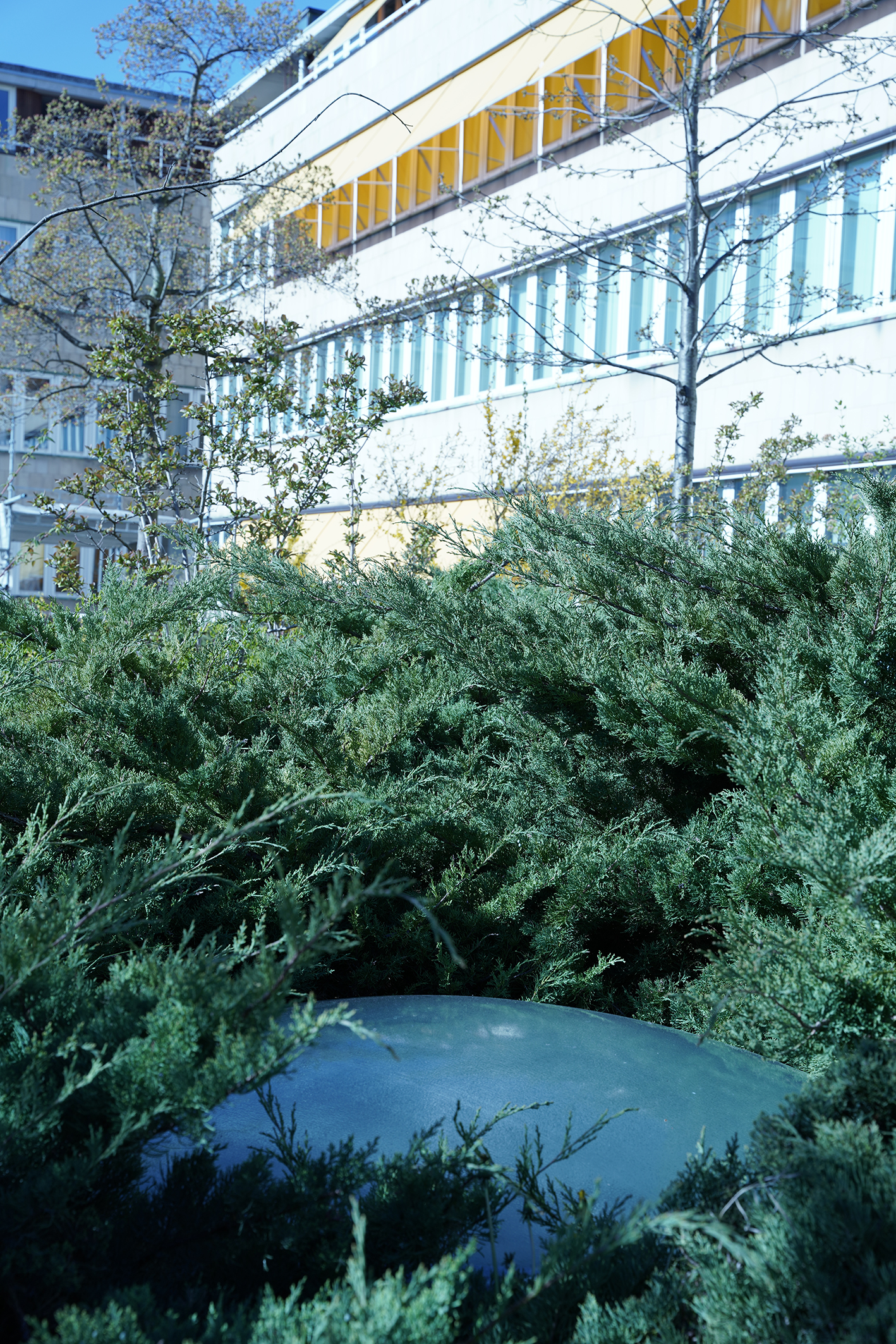 Jonas Handskemager & Ebbe Stub Wittrup: The Study of Plants and Music
