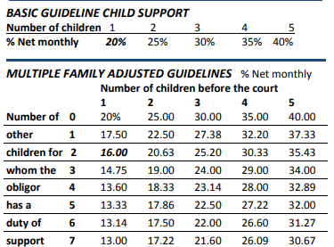 This money is used for basic expenses and necessities such as food, housing, clothing, health care, and educational needs. Child Support Texas Law Help