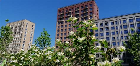 Новые проекты в недвижимости Москвы 2025 года анонсы и подробные обзоры